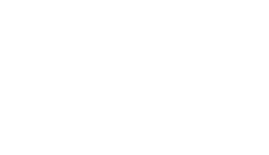 MegaViajes División Transmundo